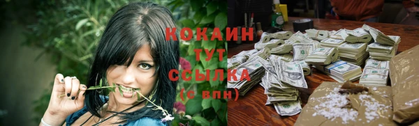тгк Аркадак